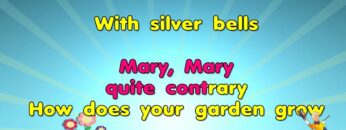 [ID: EBv4WR7SPMQ] Youtube Automatic