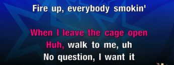 [ID: Fdd9yTS-C-Y] Youtube Automatic