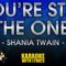 You’re Still The One – Shania Twain (KARAOKE)