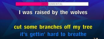 [ID: Mv4NMAdNAHw] Youtube Automatic