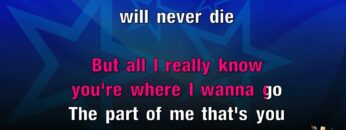 [ID: Q2TKJARb1lg] Youtube Automatic