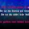 Smilet I Ditt Eget Speil – Chris Holsten (KARAOKE)