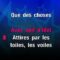 Foule Sentimentale – Alain Souchon (KARAOKE)