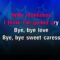 Bye Bye Love – Everly Brothers (KARAOKE)