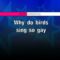 Why Do Fools Fall In Love – Diana Ross (KARAOKE)