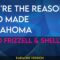 You’re The Reason God Made Oklahoma – David Frizzell & Shelly West (KARAOKE)