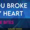 You Broke My Heart – Love Bites (KARAOKE)