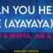 Can You Hear Me (ayayaya) – Wiley & Skepta, JME & Ms D (KARAOKE)