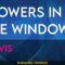 Flowers In The Window – Travis (KARAOKE)