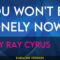 You Won’t Be Lonely Now – Billy Ray Cyrus (KARAOKE)