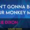 I Ain’t Gonna Be Your Monkey Man – Willie Dixon (KARAOKE)