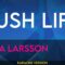 Lush Life – Zara Larsson (KARAOKE)