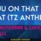 Juju On That Beat (TZ Anthem) – Zay Hilfigerrr & Zayion McCall (KARAOKE)