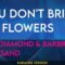 You Don’t Bring Me Flowers – Neil Diamond & Barbra Streisand (KARAOKE)