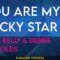 You Are My Lucky Star – Gene Kelly & Debbie Reynolds (KARAOKE)