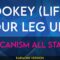 Zookey (Lift Your Leg Up) – Africanism All Stars (KARAOKE)