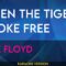 When The Tigers Broke Free – Pink Floyd (KARAOKE)