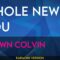 Whole New You – Shawn Colvin (KARAOKE)