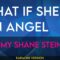 What If She’s An Angel – Tommy Shane Steiner (KARAOKE)