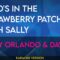 Who’s In The Strawberry Patch With Sally – Tony Orlando & Dawn (KARAOKE)