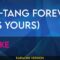 Wu-Tang Forever (It’s Yours) – Drake (KARAOKE)