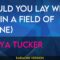 Would You Lay With Me (in A Field Of Stone) – Tanya Tucker (KARAOKE)