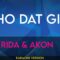 Who Dat Girl – Flo Rida & Akon (KARAOKE)