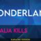 Wonderland – Natalia Kills (KARAOKE)