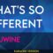 What’s So Different – Ginuwine (KARAOKE)