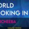 World Looking In – Morcheeba (KARAOKE)