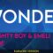 Wonder – Naughty Boy & Emeli Sande (KARAOKE)