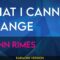 What I Cannot Change – LeAnn Rimes (KARAOKE)