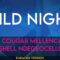 Wild Night – John Cougar Mellencamp & Me’shell Ndegeocello (KARAOKE)