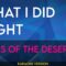 What I Did Right – Sons of the Desert (KARAOKE)