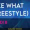 Like What (Freestyle) – Cardi B (KARAOKE)