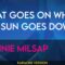 What Goes On When The Sun Goes Down – Ronnie Milsap (KARAOKE)