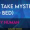 We Take Mystery (To Bed) – Gary Numan (KARAOKE)