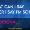 What Can I Say After I Say I’m Sorry – Traditional (KARAOKE)