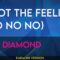 I Got The Feeling (No No No) – Neil Diamond (KARAOKE)