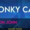 Honky Cat – Elton John (KARAOKE)