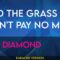 And The Grass Won’t Pay No Mind – Neil Diamond (KARAOKE)