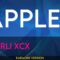 Apple – Charli xcx (KARAOKE)
