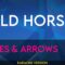 Wild Horses – Ashes & Arrows (Karaoke Version) | MrEntertainerKaraoke