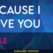 Because I Love You – Halle (Karaoke Version)  MrEntertainerKaraoke