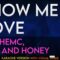 Show Me Love – WizTheMc, bees and honey (KARAOKE WITH VOCAL GUIDE)