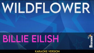 [ID: K0cIc91_dVs] Youtube Automatic