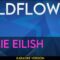 WILDFLOWER – Billie Eilish (KARAOKE)