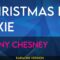Christmas In Dixie – Kenny Chesney (KARAOKE)