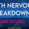 19th Nervous Breakdown – Rolling Stones (KARAOKE)