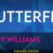 Butterfly – Andy Williams (KARAOKE)